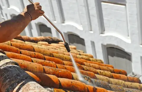 Démoussage de toiture à Riaillé